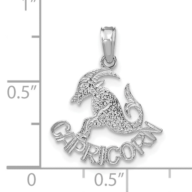 14k WG CAPRICORN Zodiac Charm