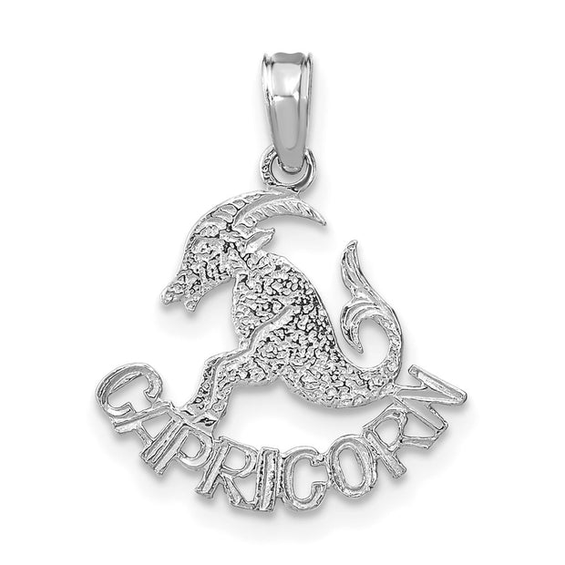 14k WG CAPRICORN Zodiac Charm