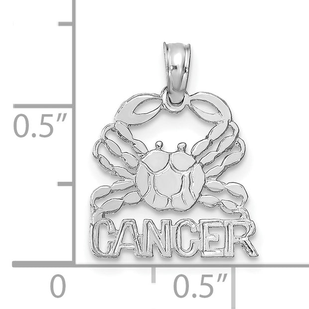 14k WG CANCER Zodiac Charm