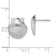 Sterling Silver Rhodium-plated Polished Scallop Shell Post Earrings