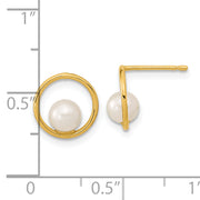14K Madi K Open Circle 5mm Freshwater Cultured Pearl Post Earrings