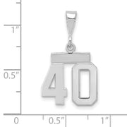 14kw Small Polished Number 40 Charm